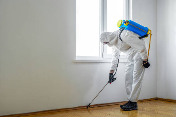 Best Pest Prevention Services  in Pleasant Hills, PA