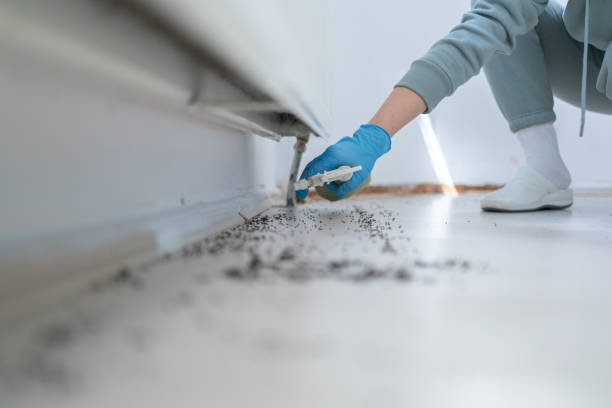 Best Wasp Removal Services  in Pleasant Hills, PA